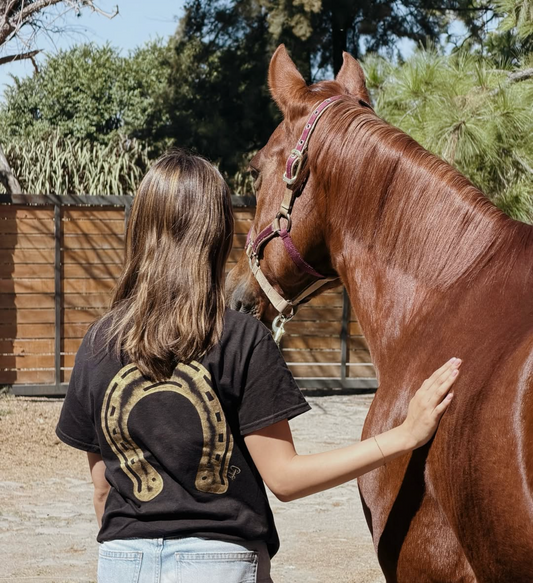Playera de Herradura